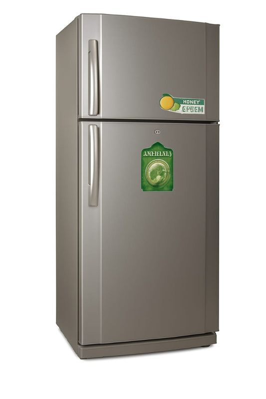 Concord Refrigerator 20Ft TN2000 (2006) silver