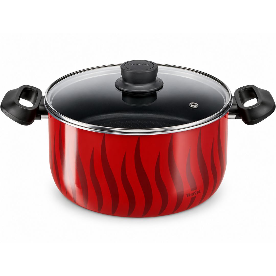 TEFAL C3045485 Tempo Flamme stewpot 30cm ~10 L