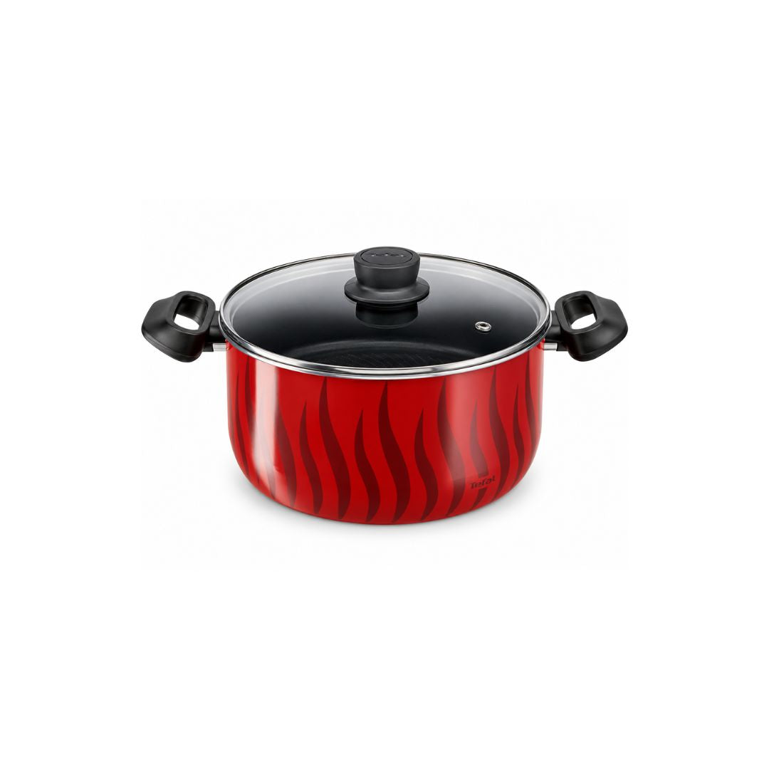 TEFAL C3044585 Tempo Flamme stewpot 22 cm ~4.0 L