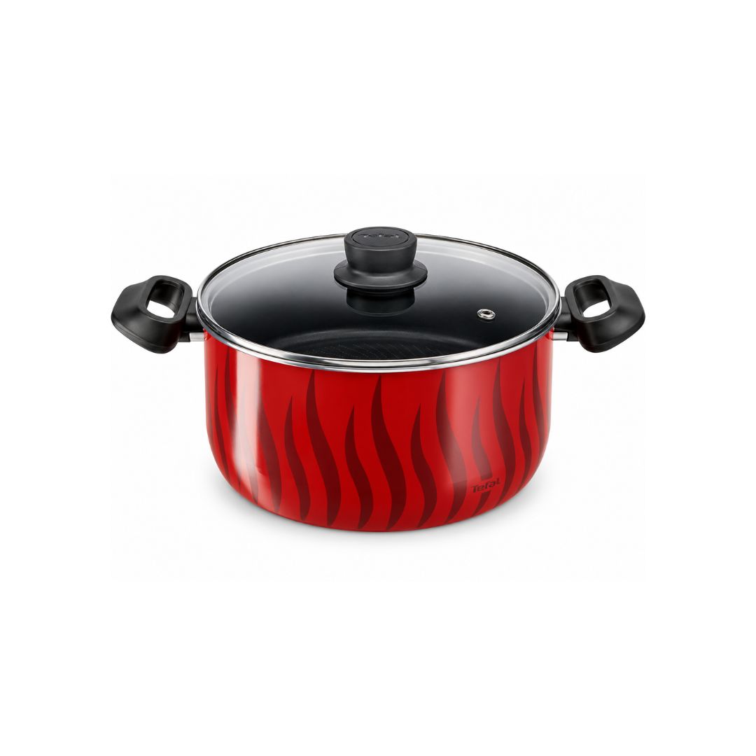 TEFAL C3044685 Tempo Flamme stewpot 24cm ~5.0 L