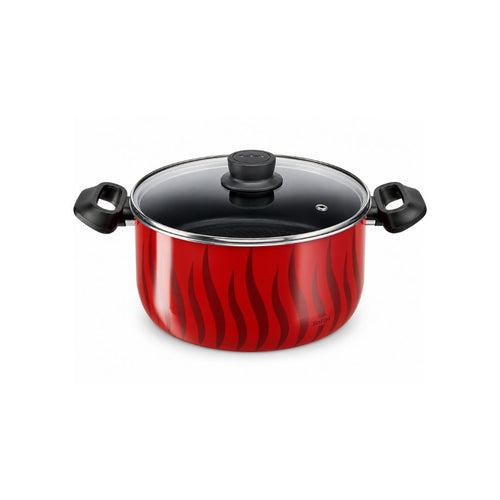 TEFAL C3044685 Tempo Flamme stewpot 24cm ~5.0 L