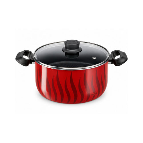 TEFAL C3045285 Tempo Flamme stewpot 26cm ~6.5 L