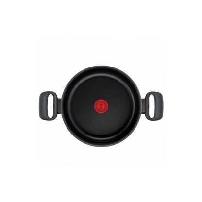 TEFAL C3044585 Tempo Flamme stewpot 22 cm ~4.0 L