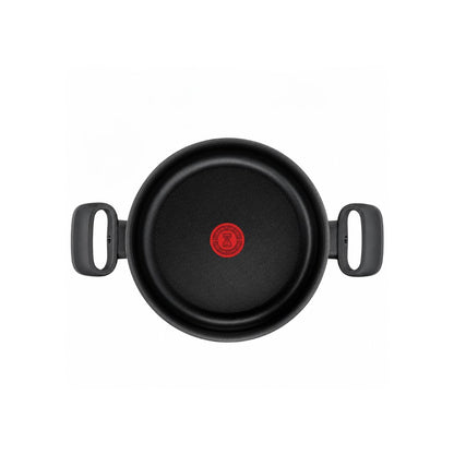 TEFAL C3044685 Tempo Flamme stewpot 24cm ~5.0 L