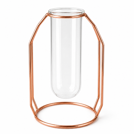 Decorative Metal Frame Hydroponic Vase