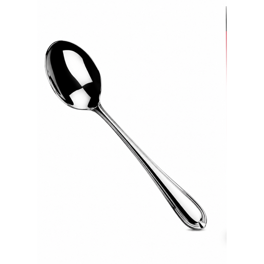Classic Spoon set of 6 pcs DH-01989