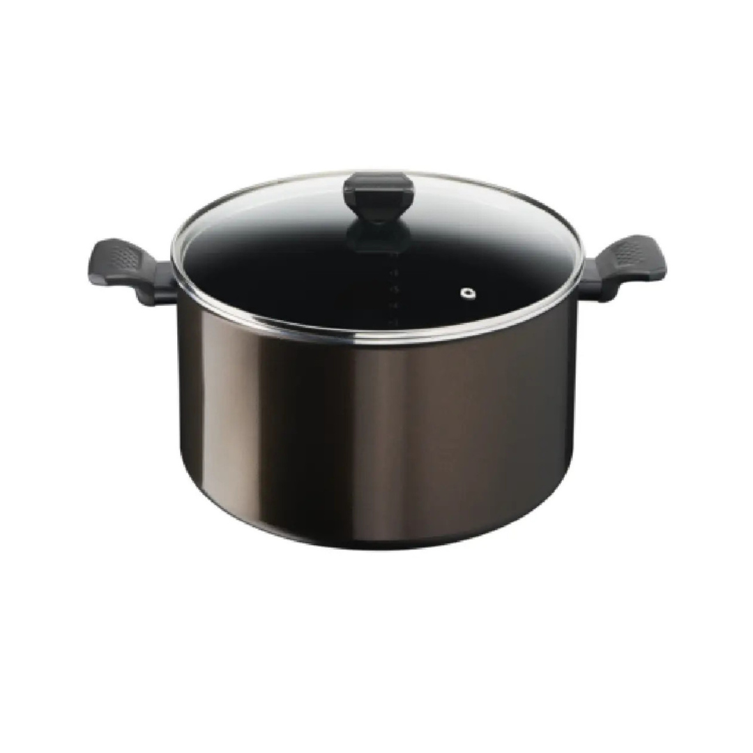 TEFAL  B5544602 EASY COOK & CLEAN STEWPOT 24 CM