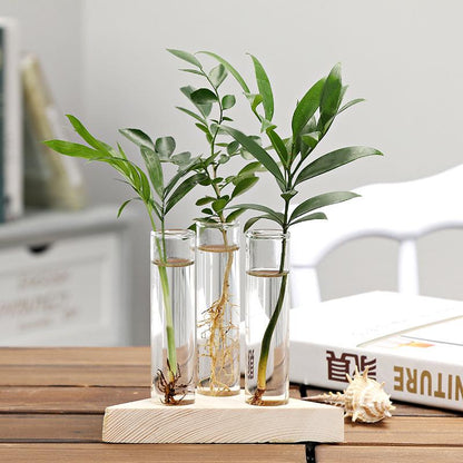 GLASS DECORE