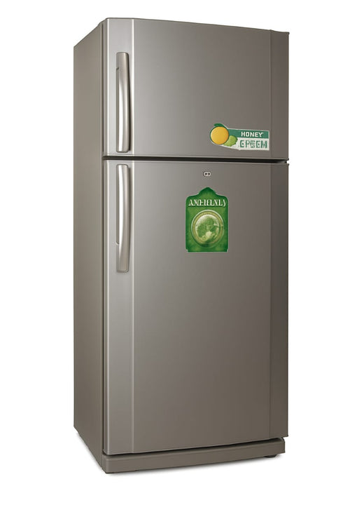 Concord Refrigerator 20Ft TN2600 (2606) silver